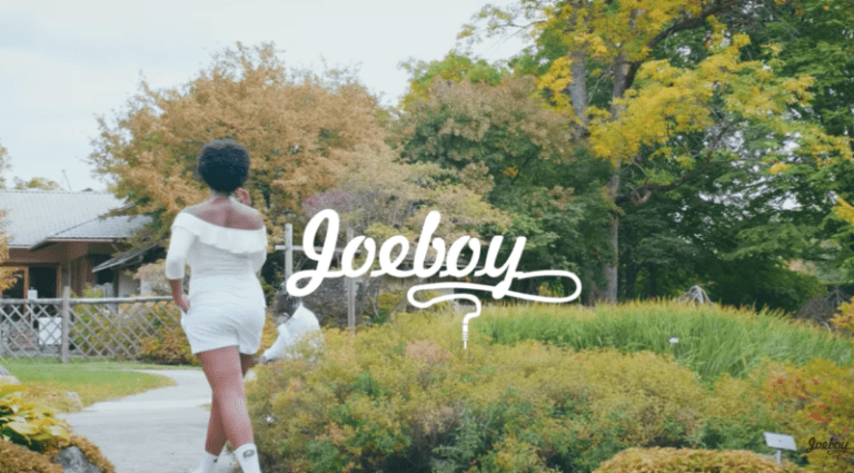 Lonely Video by Joeboy, JotNaija: South Africa Music, Mp3 &amp; Audio Portal