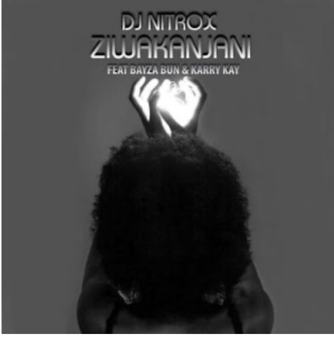 DJ Nitrox – Ziwakanjani, JotNaija: South Africa Music, Mp3 & Audio Portal