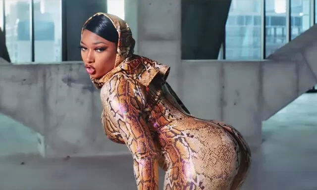 Megan Thee Stallion Biography, Age ,Net Worth, Wiki, Real Name, Children, Instagram, Parents, partner